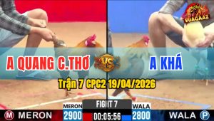 Trận 7 CPC2 19/04/2026 - Phút 90 2 Con Thiếu Chân Dứt Điểm  Hòa Tiền