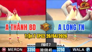 Trận 7 CPC2 20/04/2026 - Đỏ Đá Đúng 3 Chân Bưng Xanh Ra Ngoài