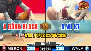 Trận 7 CPC2 22/04/2026 - Anh Vũ KT Đánh Bại Anh Đăng Black
