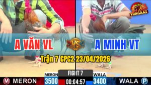 Trận 7 CPC2 23/04/2026 - Gà Đỏ Quá Hay Thắng Trong Thế Thua