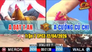 Trận 7 CPC3 12/04/2026 - BÔNG ĐÂM QUÁ KINH KHÉT HẾT ĐƯỜNG ĐỨNG