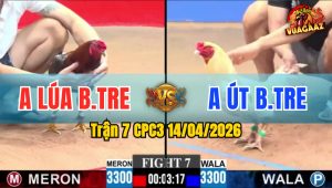 Trận 7 CPC3 14/04/2026 - Bướm Đâm Điều Gãy Chân  Bưng Ra Sân