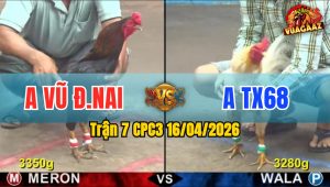 Trận 7 CPC3 16/04/2026 - Xám Đâm Quá Đâm Bướm Dãy Chết Tại Chỗ