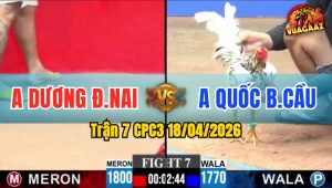 Trận 7 CPC3 18/04/2026 - Bướm Đâm Điều Hư Hình Hết Đứng