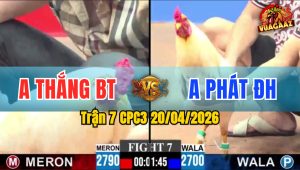 Trận 7 CPC3 20/04/2026 - Đỏ Đá Xanh Gãy Giò Thua Gọn