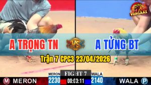 Trận 7 CPC3 23/04/2026 - Gà Điều Nạp Siết 1 Hơi Xanh Hết Sửa