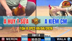 Trận 8 CPC2 09/04/2026 - Điều Chịu Cựa Quá Hay Đá Chuối Nằm Ngay Tại Chỗ