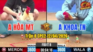 Trận 8 CPC2 12/04/2026 - Bướm Tung Chân Điều Nằm 1 Đóng