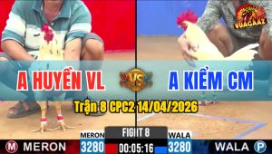 Trận 8 CPC2 14/04/2026 - Bướm Đâm Như Xôm Úa Nằm Biệt Sau 1 Tay Nước