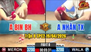 Trận 8 CPC2 19/04/2026 - Úa Dày Gà Đâm Gà Xanh Té Xỉu Hư Hình