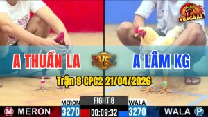 Trận 8 CPC2 21/04/2026 - Úa Quá May Độ Lên Chân Bông Ói Chết Phút 90