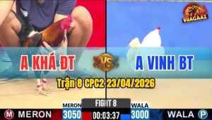 Trận 8 CPC2 23/04/2026 - Gá Úa Kẹp 1 Cây Ngay Cổ Cần Hạ Đối Thủ