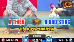 Trận 8 CPC2 24/04/2026 - Idol Bảo Sting Thất Thủ Trước Anh Thiện