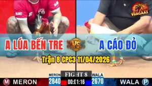 Trận 8 CPC3 11/04/2026 - UÁ XIẾT QUÁ NHANH  ĐỎ ĐỨNG HẾT NỔI