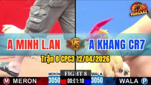 Trận 8 CPC3 12/04/2026 - ÚA GỒNG HẾT NỔI  KHI BƯỚM CÓ CHÂN DỨT ĐIỂM PHÚT CUỐI