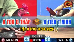 Trận 8 CPC3 14/04/2026 - Điều Xanh Nhảy 3 Chân Bưng Đỏ Khỏi Sân
