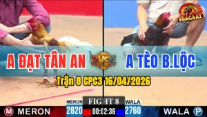 Trận 8 CPC3 16/04/2026 - Khét Đâm Mấy Chân Điều Hư Hình Hết Đứng