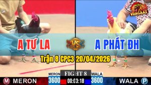 Trận 8 CPC3 20/04/2026 - Xanh Bươi Trây Đúng Tay Nước Là Có Kết Quả