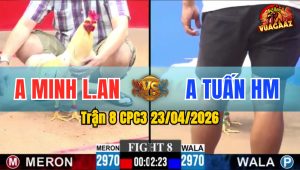 Trận 8 CPC3 23/04/2026 - Gà Buớm Tấn Công Dồn Dập Không Cho Đối Thủ Cơ Hội