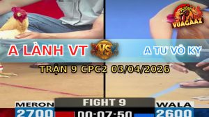 Trận 9 CPC2 03/04/2026 - Điều Đứng Rồng Hòa Ăn 1 Quá May Mắm