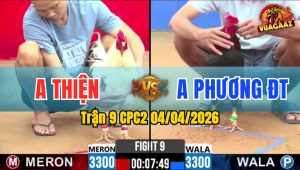Trận 9 CPC2 04/04/2026 - Điều Đâm Quá Tịch Bướm Liệt Chân Nằm Biệt