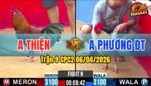 Trận 9 CPC2 06/04/2026 - Điều Đâm Quá Tịch Bướm Liệt Chân Nằm Biệt