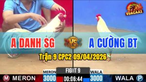 Trận 9 CPC2 09/04/2026 - Xanh Buôm Đuôi Đỏ Nằm Tại Chỗ Chỉ Sau 1 Tay Nước