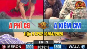 Trận 9 CPC2 10/04/2026 - Úa Cho Nặng 600g Lụm Lúa Đơn Giản