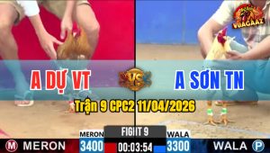 Trận 9 CPC2 11/04/2026 - Vàng Đá Chân Quá Xâu Bớm Hư Hình Bưng Ra