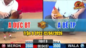 Trận 9 CPC2 12/04/2026 - Điều Giao Chân Quá Tịch Vàng Hư Hình Hết Đứng