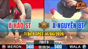 Trận 9 CPC2 14/04/2026 - Điều Đâm Quá Đâm Úa Hư Hình Bưng Ra