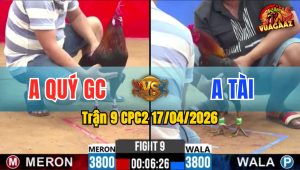 Trận 9 CPC2 17/04/2026 - Xanh Giao Chân Quá Cao Đỏ Hết Sữa Sau 2 Tay Nước