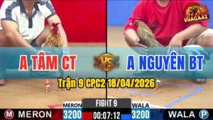 Trận 9 CPC2 18/04/2026 - Đỏ Ra Chân Quá Cựa Xanh Hư Hình Bưng Ra