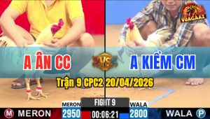 Trận 9 CPC2 20/04/2026 - Xanh Cho Nặng Phóng Xâu Và Cái Kết Đỏ Đá Gãy Chân
