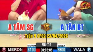 Trận 9 CPC2 23/04/2026 - Trận Đấu Quá Hấp Dẫn Hoà Mãn Nhãn