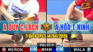 Trận 9 CPC3 14/04/2026 - Xám Đâm Quá Đâm  Điều Vàng Hư Hình Hết Đứng