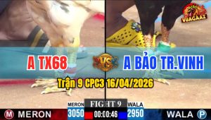 Trận 9 CPC3 16/04/2026 - Bướm Chà Như Máy  Bưng Điều Ra Sân