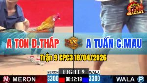 Trận 9 CPC3 18/04/2026 - Đỏ Đá Đòn Như Xe Đụng  Xanh Buông Chạy Nhanh Gọn