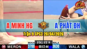 Trận 9 CPC3 20/04/2026 - Minh Hậu Giang May Mắn Hạ Anh Phát
