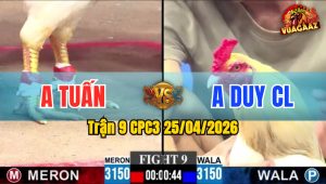 Trận 9 CPC3 25/04/2026 - Anh Tuấn Hạ Anh Duy CL Nhẹ Nhàng