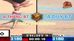 Trận 9 CPC3 31/03/2026 - Gà Xanh Idol Đâm Quá Đâm Lên Lớp Thành Công