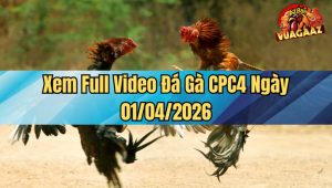 Xem Full Video Đá Gà CPC4 Ngày 01/04/2026