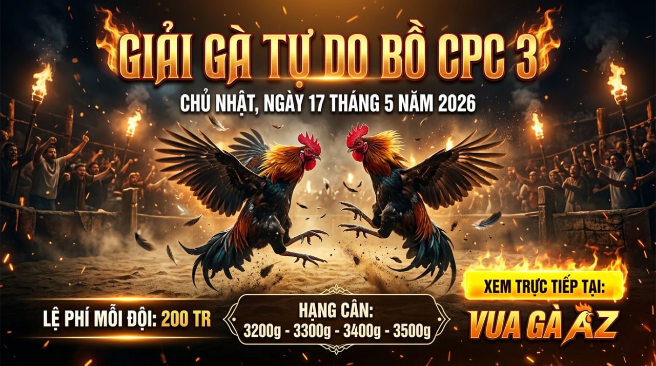 Thông Báo Giải Gà Tự Do Tại Bồ CPC3 Ngày 15/05/2026