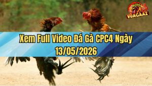 Xem Full Video Đá Gà CPC4 Ngày 13/05/2026