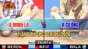 Xem trận 6 CPC3 24/5/2026 tại VUAGAAZ