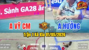 Trận 1 Xà Xía 01/05/2026 - Gà Bướm Anh Vỹ CM Có Chân Cúp Điện