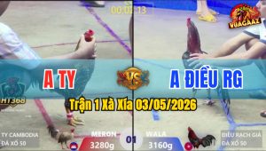 Trận 1 Xà Xía 03/05/2026 - Xanh Đá Như Súng Bắn Hạ Đỏ Nhanh Chóng