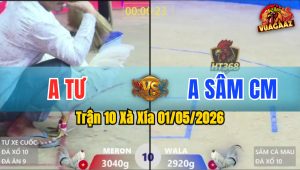 Trận 10 Xà Xía 01/05/2026 - Gà Anh Tư Tải Cựa Tới Phút 90