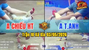 Trận 10 Xà Xía 03/05/2026 - Xanh Đá Như Xe Đụng Hạ Đỏ Tuyệt Đối