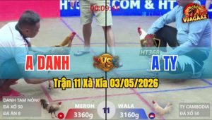 Trận 11 Xà Xía 03/05/2026 - Xanh Đâm Đỏ Hư Hình Té Xỉu